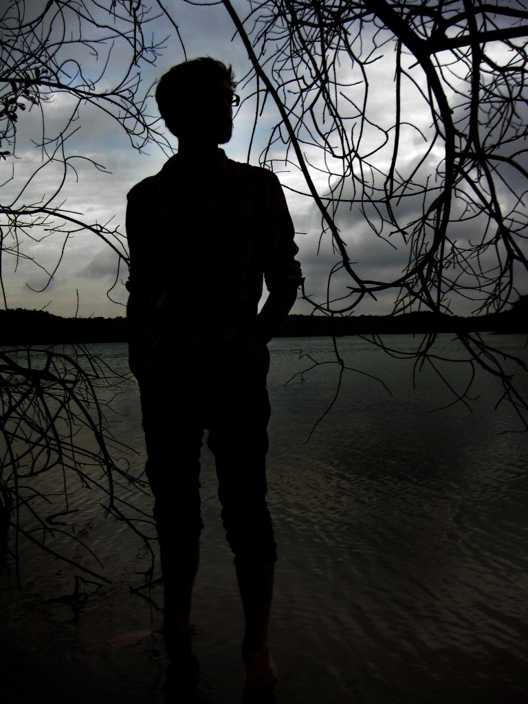 Silhouette of Musician Copyright Heather Dalton 2012