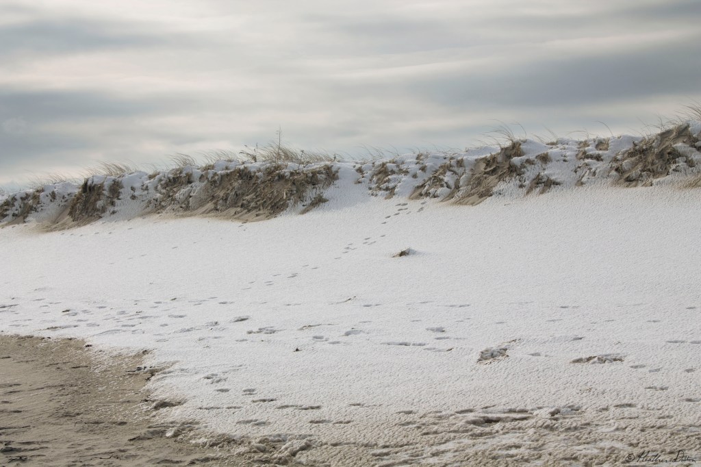 winterdunes