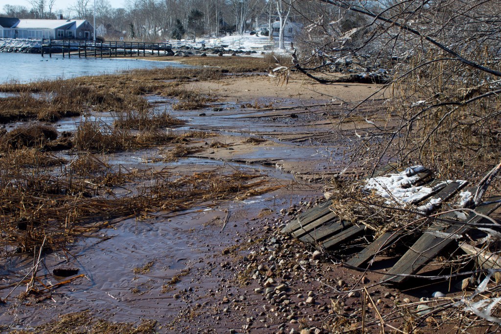 landscape, orleans town cove