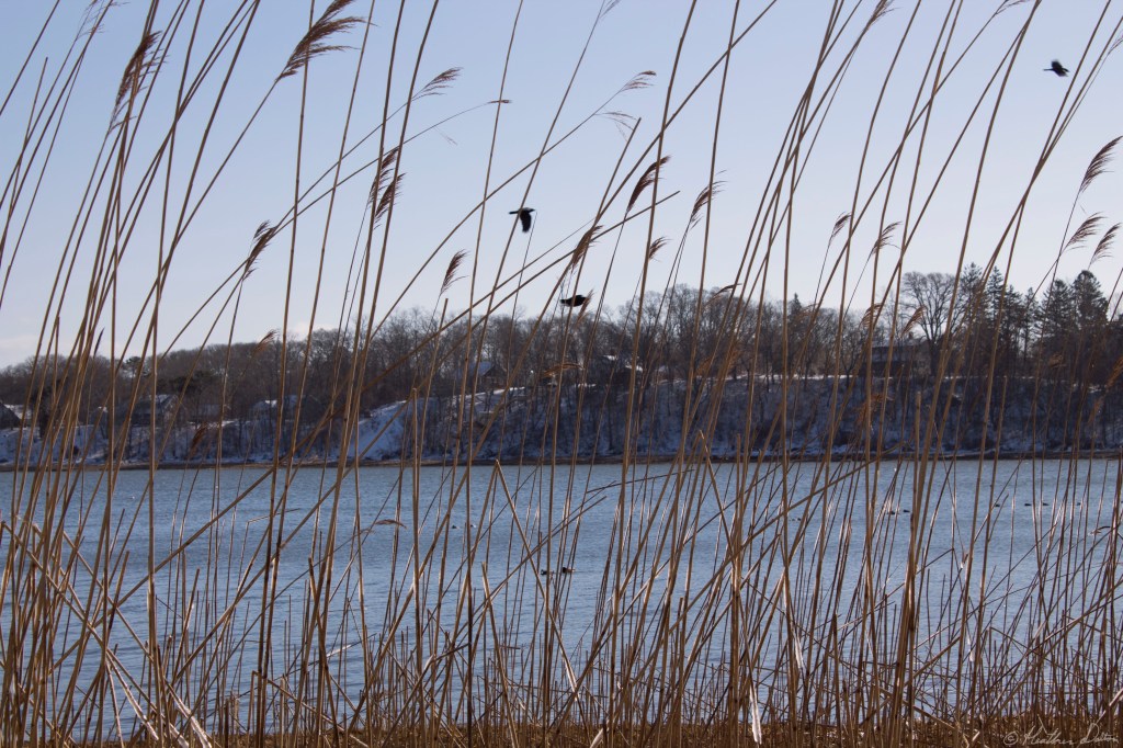Landscape Photograph Orleans Town Cove