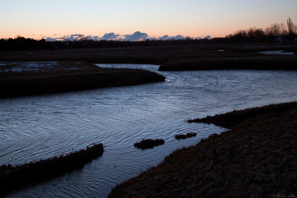 Rock Harbor Marsh Orleans