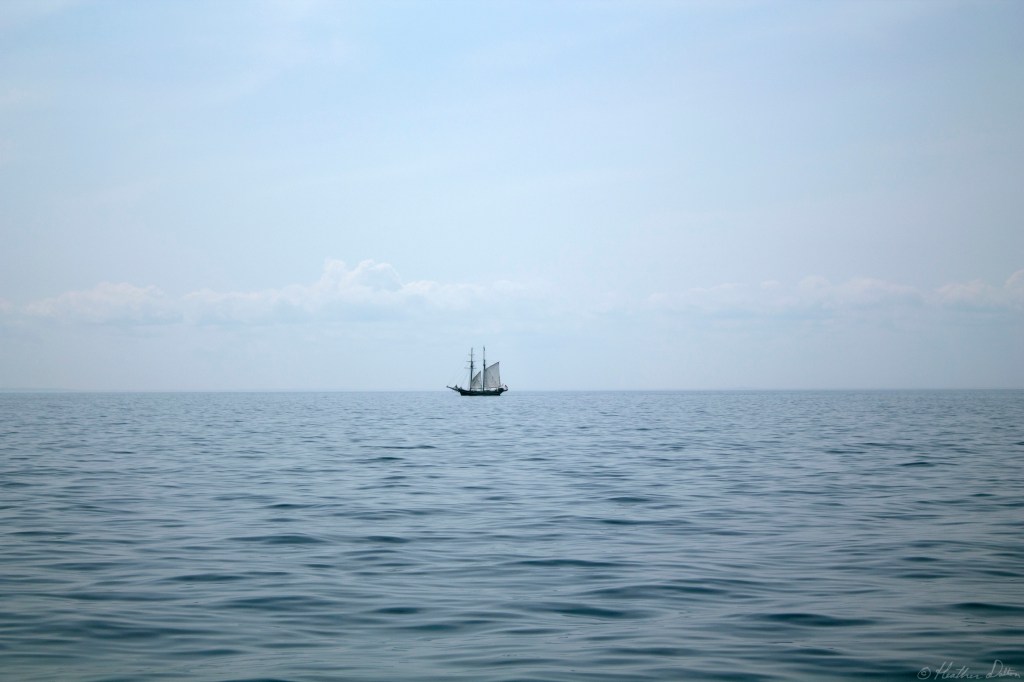 Old Ship Sailing Provincetown Harbor