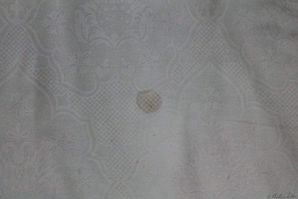 Photograph of stain Java Indonesia