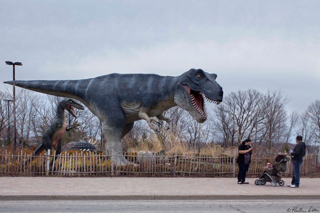 Dinosaur Park Tourism Heather Dalton